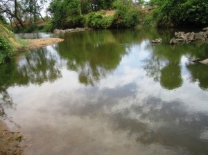CCW_gofal_sahi_community_water_source