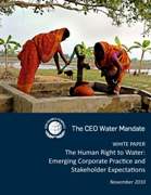 ceo_water_mandate_human_right_to_water_cover