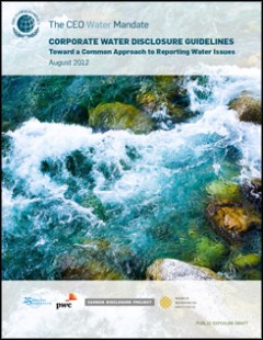 <a href=http://www.pacinst.org/publication/corporate-water-disclosure-guidelines/>Corporate Water Disclosure Guidelines: Towards a Common Approach to Report Water Issues</a>