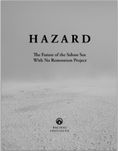 <a href=http://www.pacinst.org/publication/restoration-project-critical-to-salton-seas-future/>Hazard: The Future of the Salton Sea with No Restoration Project</a>